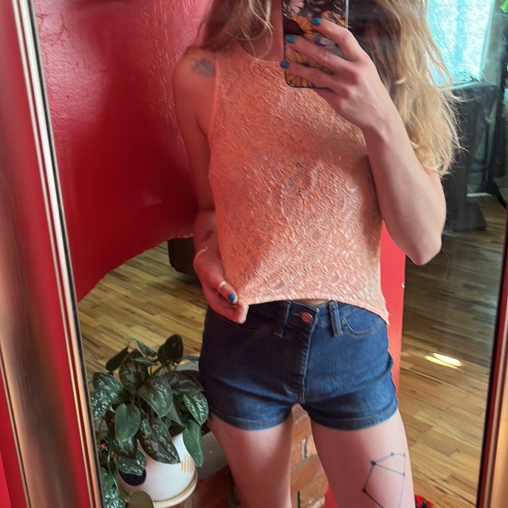 Peach Lace Crop Top With Long Sheer Back